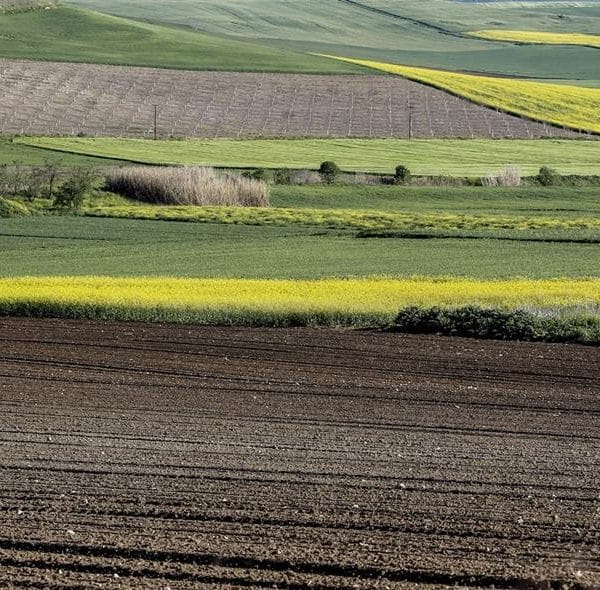 Αρχή της άνοιξης
