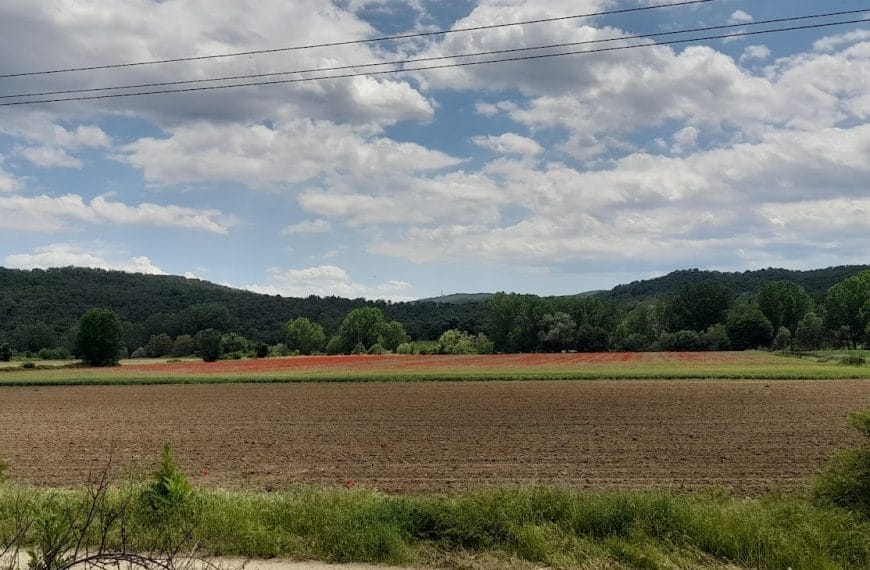 AΠO THN ΠOΛITIΣTIKH ΔIAXEIPIΣH ΣTHN BIΩΣIMH ANAΠTYΞH