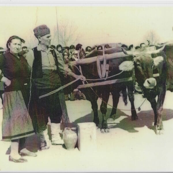 Έθιμο του Μπέη στα Ρίζια του Δήμου Ορεστιάδας Π.Ε Έβρου