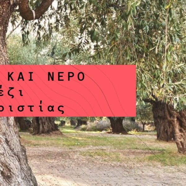 Χώμα και Νερό. Τραπέζι Ευχαριστίας.